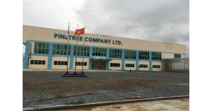 CÔNG TY PINE TREE